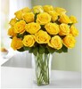 24 Yellow Roses in a Vase