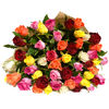 50 Mix Color Roses Bouquet